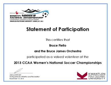 Statement of Participation This certifies that Bruce Flello and the Bruce James Orchestra participated as a valued volunteer at the