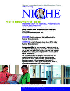 Nurses Improving Care for Healthsystem Elders nicheprogram.org NICHE SOLUTION #3 • 2010 PROMOTING SAFETY FOR OLDER ADULT POPULATION IN THE SURGICAL OBSERVATION UNIT