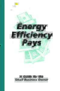 Energy Efficiency Pays A Guide for the Small Business Owner