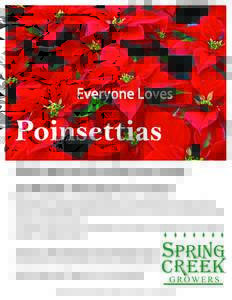 Everyone Loves  Poinsettias Make poinsettia sales your easy, profitable holiday fund-raiser Poinsettias are a traditional Christmas favorite and sell themselves during the holiday