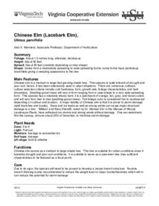Chinese Elm (Lacebark Elm), Ulmus parvifolia Alex X. Niemiera, Associate Professor, Department of Horticulture Summary Foliage: About 1.5 inches long; alternate; deciduous
