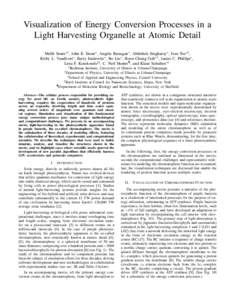 Visualization of Energy Conversion Processes in a Light Harvesting Organelle at Atomic Detail Melih Sener∗† , John E. Stone∗ , Angela Barragan∗ , Abhishek Singharoy∗ , Ivan Teo∗† , Kirby L. Vandivort∗ , B