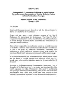 VIII OWG-SDGs Statement by H.E. Ambassador Guilherme de Aguiar Patriota Deputy Permanent Representative of Brazil to the United Nations on behalf of Brazil and Nicaragua 