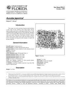 Fact Sheet FPS-57  October, 1999 Aucuba japonica1 Edward F. Gilman2