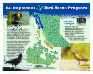 Yellow-headed Blackbird  Bird Areas Program Photo: Larry Adamache