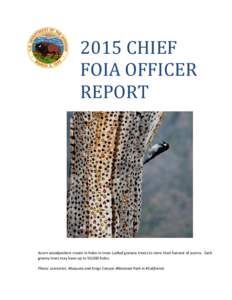 2015 CHIEF FOIA OFFICER REPORT