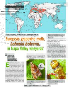 Pest control / Agricultural pest insects / Biology / Agroecology / Lobesia botrana / Light brown apple moth / Grapevine moth / Pheromone trap / Lepidoptera / Tortricidae / Agriculture / Biological pest control
