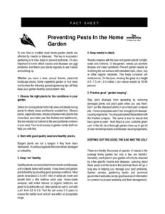 Preventing Pests in the Home Garden