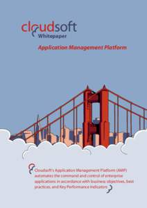 Effective Enterprise Virtual Environment Management