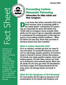 Preventing Carbon Monoxide Poisoning Fact Sheet, Large Print