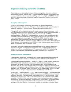 Escherichia coli / Enterobacteria / Gram-negative bacteria / Gut flora / Escherichia coli O157:H7 / Verotoxin-producing Escherichia coli / Pathogenic Escherichia coli / Shiga toxin / Zoonosis / Bacteria / Microbiology / Biology