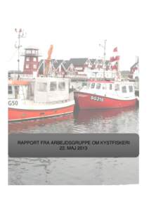 RAPPORT FRA ARBEJDSGRUPPE OM KYSTFISKERI 22. MAJ 2013