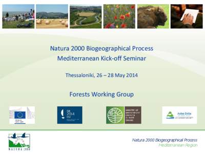 Natura 2000 Biogeographical Process Mediterranean Kick-off Seminar Thessaloniki, 26 – 28 May 2014 Forests Working Group