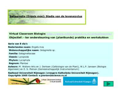 Sellaginella (Engels mos): Stadia van de levenscyclus  Virtual Classroom Biologie: http://www.vcbio.science.ru.nl/virtuallessons/ Objectief: - ter ondersteuning van (plantkunde) praktika en werkstukken Serie van 8 dia’