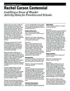 Instilling a Sense of Wonder: Activity Ideas for Families and Schools