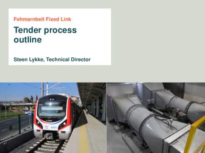 Fehmarnbelt Fixed Link  Tender process outline Steen Lykke, Technical Director