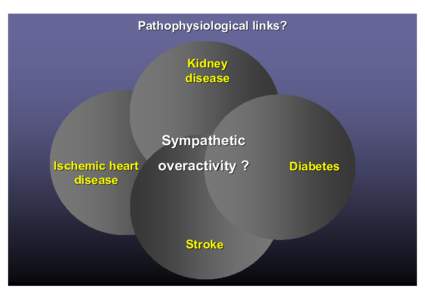 Diabetes / Antihypertensive agents / Organochlorides / Peptide hormones / Imidazolines / Moxonidine / Antihypertensive drug / Systolic hypertension / Sympatholytic / Chemistry / Medicine / Health