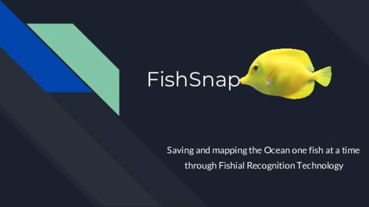 FishSnap  Saving and mapping the Ocean one fish at a time through Fishial Recognition Technology  What did we build?