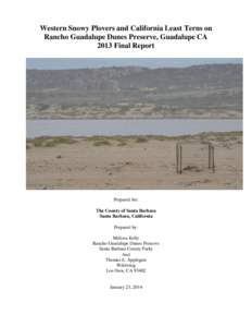 Western Snowy Plovers and California Least Terns on Rancho Guadalupe Dunes Preserve, Guadalupe CA 2013 Final Report Prepared for: The County of Santa Barbara