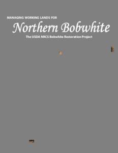 Managing Working Lands for Northern Bobwhite - The USDA NRCS Bobwhite Restoration Project