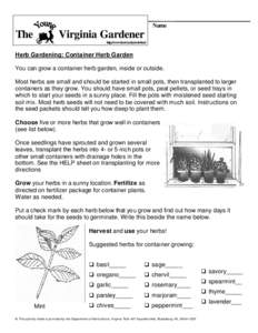 Botany / Biology / Agriculture / Seed / Gardening / Basil / Chervil / Oregano / Rosemary / Herbs / Medicinal plants / Lamiaceae