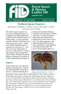 Forest Insect & Disease Leaflet 180 September[removed]U.S. Department of Agriculture