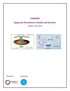 Epigenetics and Preconception