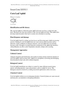 Agriculture / Aphids / Hemiptera / Native American cuisine / Tropical agriculture / Rhopalosiphum maidis / Biological pest control / Maize / Cornicle / Phyla / Protostome / Agricultural pest insects