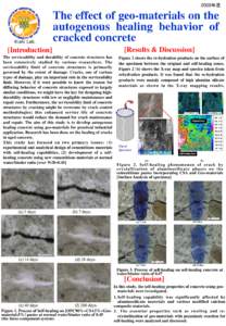 2008年度  The effect of geo-materials on the autogenous healing behavior of cracked concrete [Introduction]