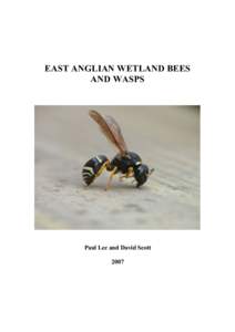 EAST ANGLIAN WETLAND BEES AND WASPS Paul Lee and David Scott 2007