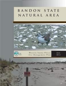 Shorebirds / Bandon State Natural Area / Plover / New River / Oregon Parks and Recreation Department / Guadalupe-Nipomo Dunes / Charadrius / Oregon Coast / West Coast of the United States