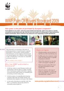 WWF Palm Oil Buyers’ Scorecard 2009 How ‘green’ is the palm oil purchased by European companies? From lipstick to ice cream—and even some breads and biscuits—palm oil is used in a variety of products we purchas