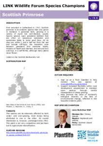 LINK Wildlife Forum Species Champions  Scottish Primrose DESCRIPTION First recorded in Sutherland in 1767, Scottish primrose is an endemic species that only grows