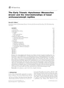 The Early Triassic rhynchosaur Mesosuchus browni and the interrelationships of basal archosauromorph reptiles