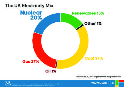 The UK Electricity Mix  Source: DECC, 2014 Digest of UK Energy Statistics Nuclear Industry Association is a company limited by guarantee registered in England NoRegistered Office: 5th Floor, Tower House, 10 So