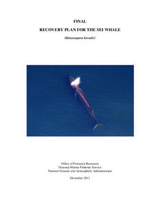 Final Recovery Plan for the Sei Whale (Balaenoptera borealis)