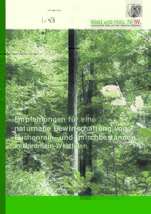 Wald und Holz. NRW. Landesbetrieb Wald und Holz Nordrhein-Westfalen Empfehlungen für eine naturnahe Bewirtschaftung von