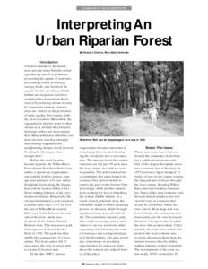 C O M M U N I T Y S U C C E S S S TO RY  Interpreting An Urban Riparian Forest By Vincent J. Cotrone, Penn State University Introduction