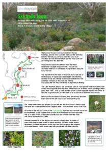 Ski trails loop An easy 4km walk along the ski trails with interpretat ve signs along the way. About 1.5 hours return to the village  Walk across the open concourse between the two