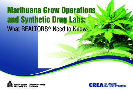 Marihuana Grow Operations and Synthetic Drug Labs