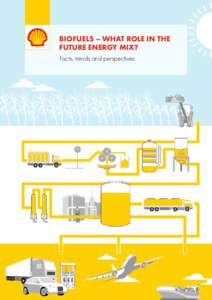 Biofuels – what role in the future energy mix? Facts, trends and perspectives 3