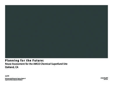 Planning for the Future: Reuse Assessment for the AMCO Chemical Superfund Site Oakland, CA July 2010 Environmental Protection Agency Region 9