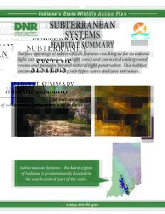 1  Indiana’s State Wildlife Action Plan SUBTERRANEAN SYSTEMS