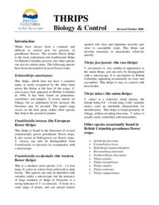 Thrips - Biology & Control