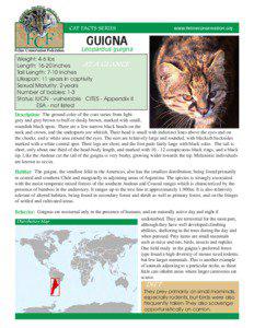 CAT FACTS SERIES  www.felineconservation.org