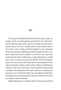 XV The old queen effortlessly flexed her broad wings to take advantage of the powerful updrafts generated by the wind howling through the gorge below and was instantly rewarded with a speedy ascent. From her vantage poin