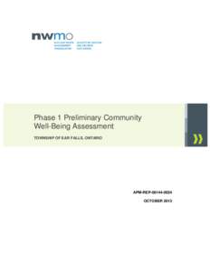 Phase 1 Preliminary Community Well-Being Assessment TOWNSHIP OF EAR FALLS, ONTARIO APM-REPOCTOBER 2013