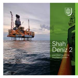 Shah Deniz 2 and Opening of the Southern Corridor  Contents