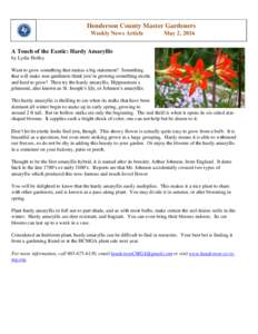 Henderson County Master Gardeners Weekly News Article May 2, 2016  A Touch of the Exotic: Hardy Amaryllis