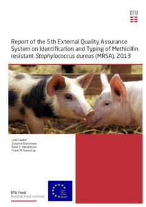 Report of the 5th External Quality Assurance System on Identification and Typing of Methicillin resistant Staphylococcus aureus (MRSA), 2013 Lina Cavaco Susanne Karlsmose
